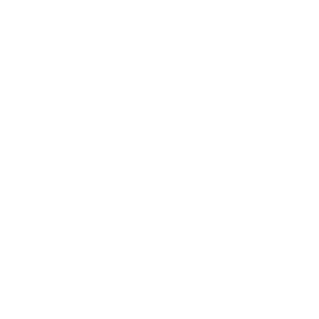 logo NNS